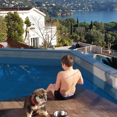 Climatisee Au Lavandou Avec Vue Avec Piscine Chauffee *