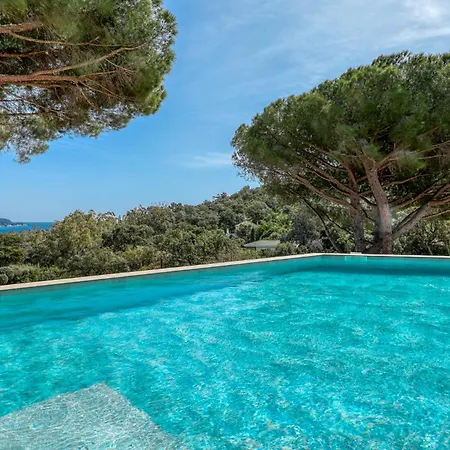 Climatisee Au Lavandou Avec Vue Avec Piscine Chauffee