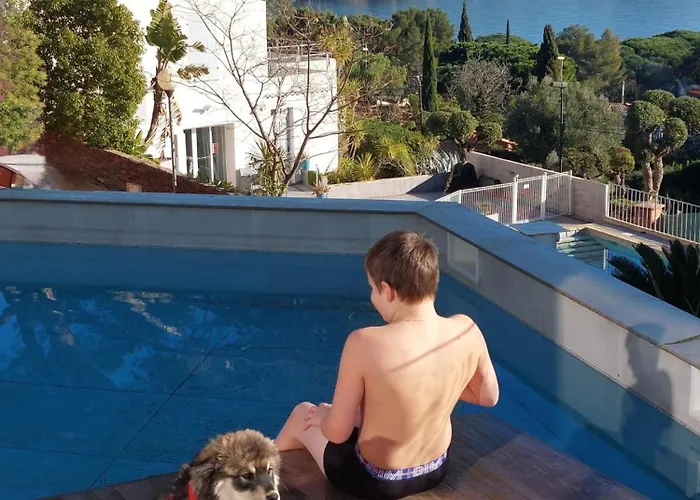 Climatisee Au Lavandou Avec Vue Avec Piscine Chauffee *